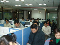 專業賦能，價值共創 廣東美佳聯房地產與土地評估咨詢及房地產經紀服務解析